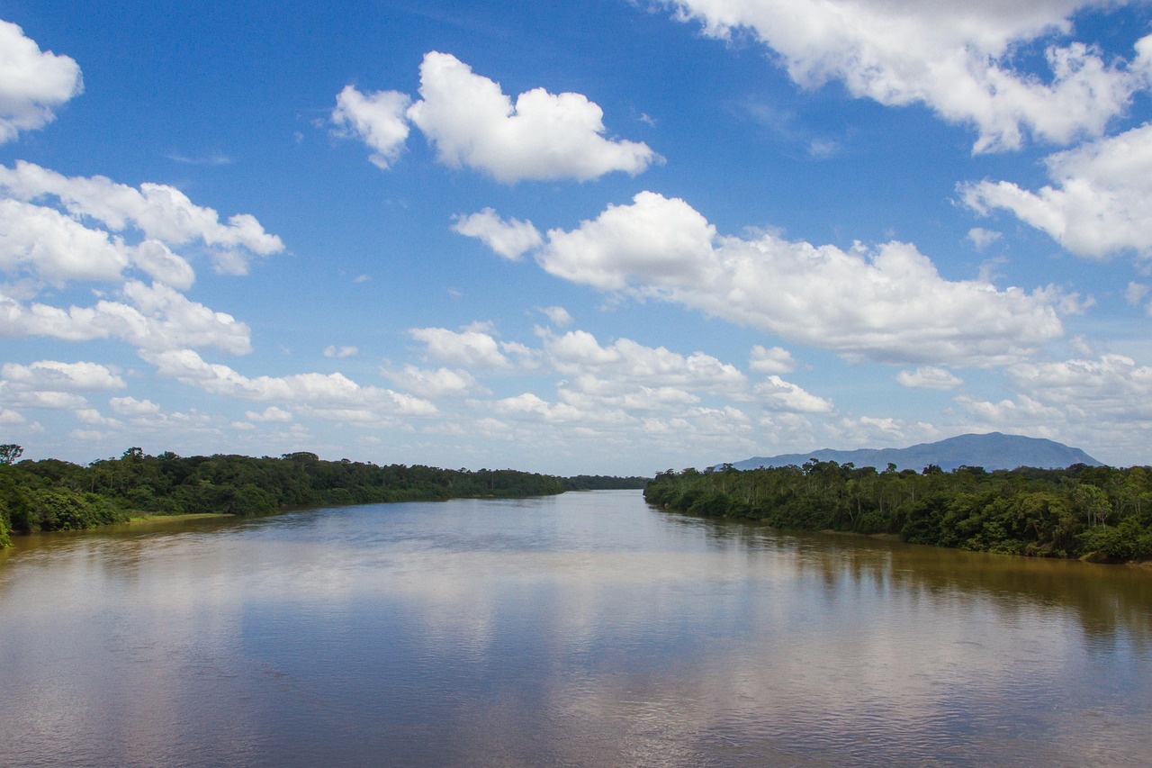 Floresta amazônica representando identidade natural e cultural brasileira